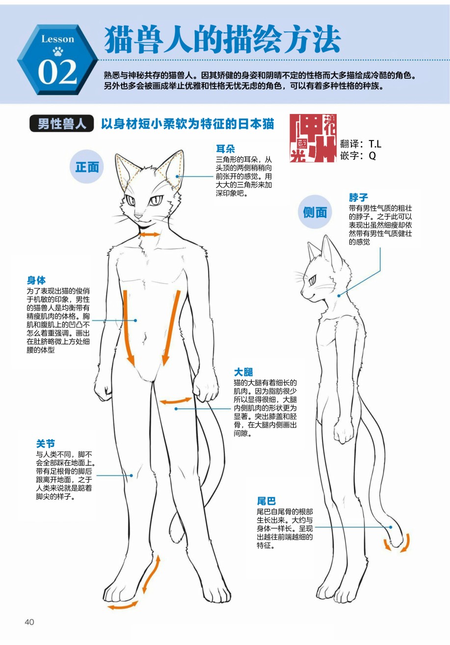 兽人的描绘方法 从真实系兽人到抽象系兽人 第2 2话陆上生物猫兽人的描绘方法 下拉式 兽人的描绘方法 从真实系兽人到抽象系兽人 大树漫画